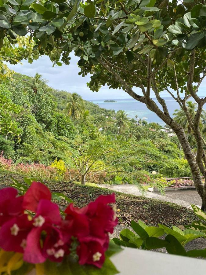Bora Bora Holiday'S Lodge Экстерьер фото